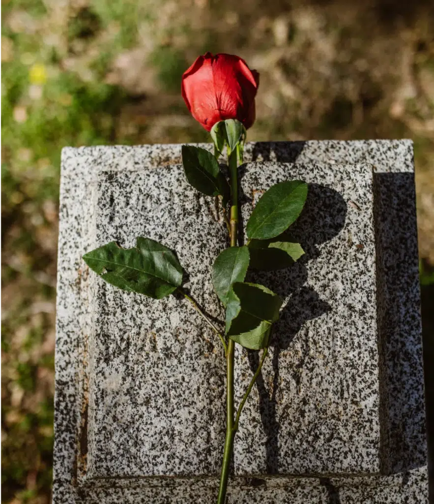 a flower placed on a grave side