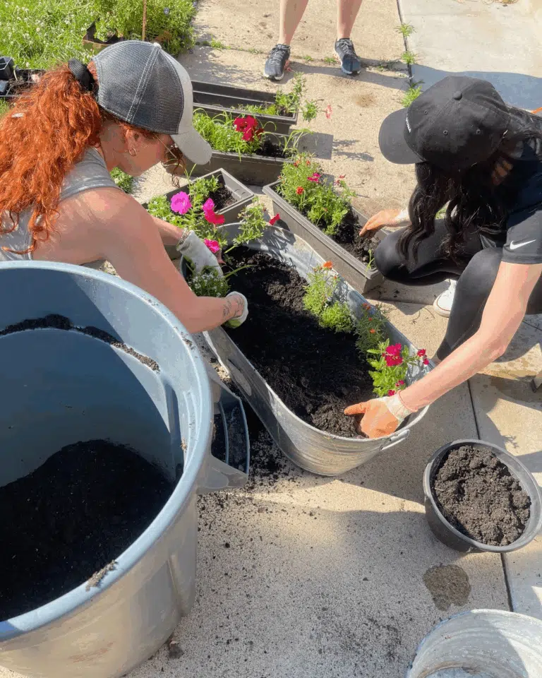 Volunteers gardening and adding soil to a raised flower bed during a community event.