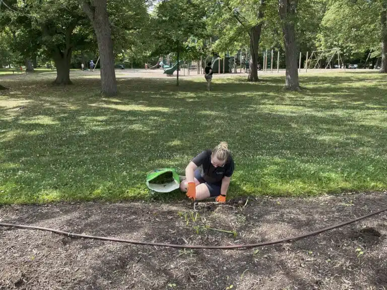 Lady working outdoors in a park during a community outreach activity