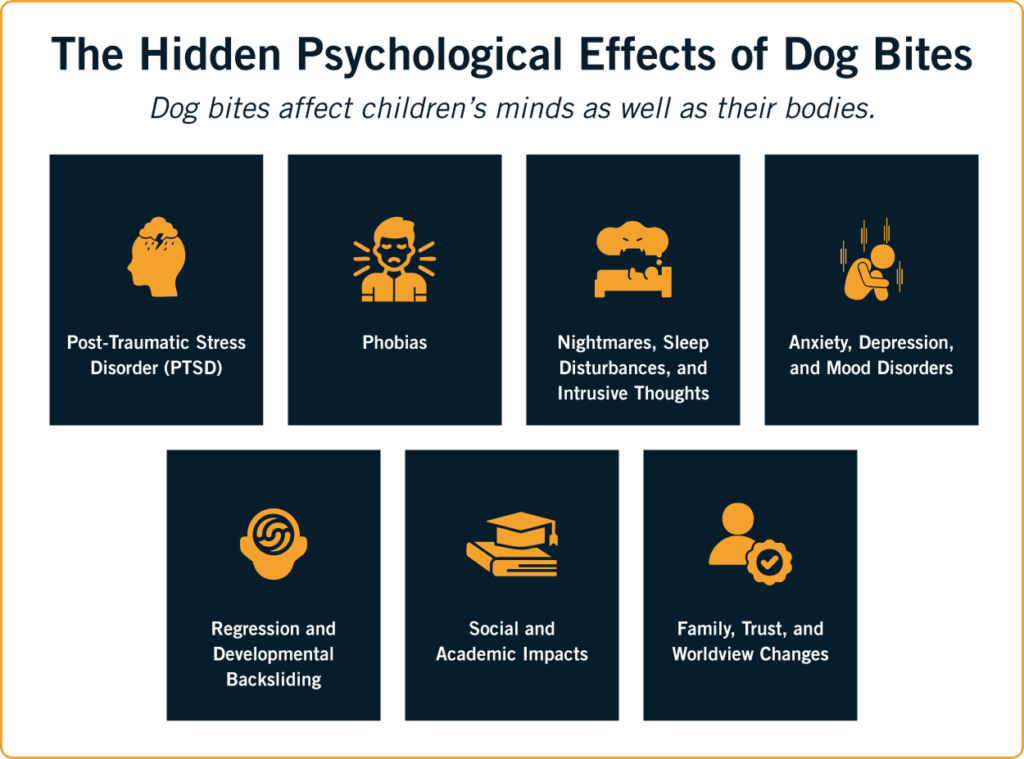 Infographic: The hidden Psychological Effects of Dog Bites Dog bites affect children's minds as well as their bodies. PTSD (post-traumatic stress disorder), phobias, nightmares, sleep disturbances, and intrusive thoughts, anxiety, depression, and mood disorders, regression and developmental backsliding, social and academic impacts, family, trust, and worldview changes