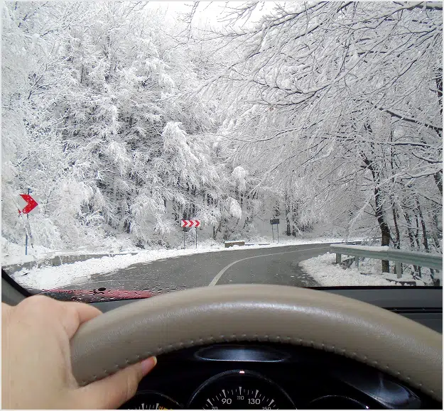 Hand on the steering wheel while driving on a road surrounded by trees covered in snow